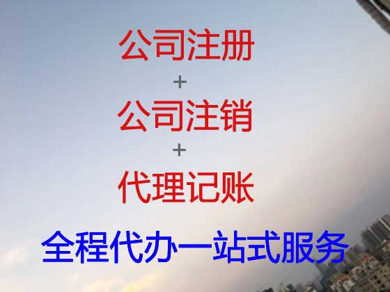 定安公司注册